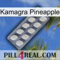 Kamagra Pineapple 08